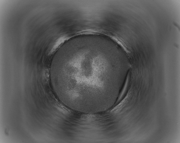 X0000091721355200708311129