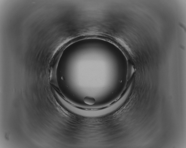 X0000091721356200708311129