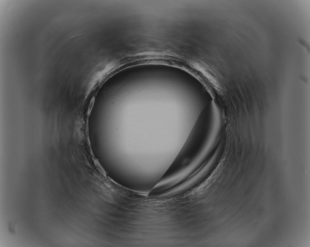 X0000091721357200708311129