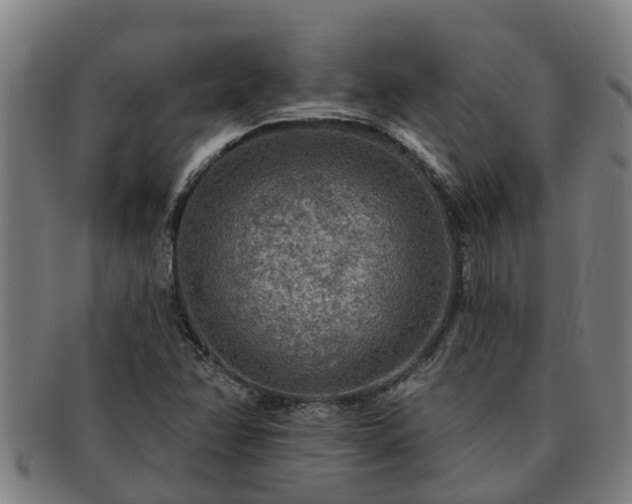 X0000091721358200708311129