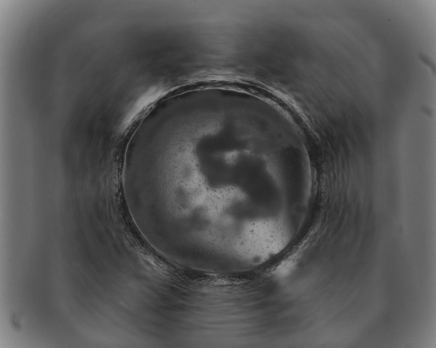 X0000091721359200708311129