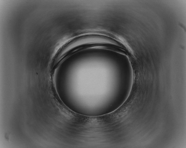 X0000091721360200708311129
