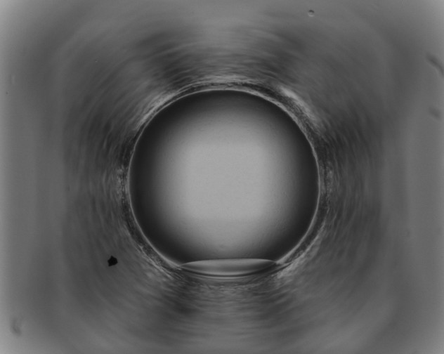 X0000091721361200708311129