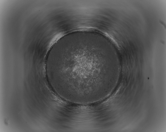 X0000091721362200708311129