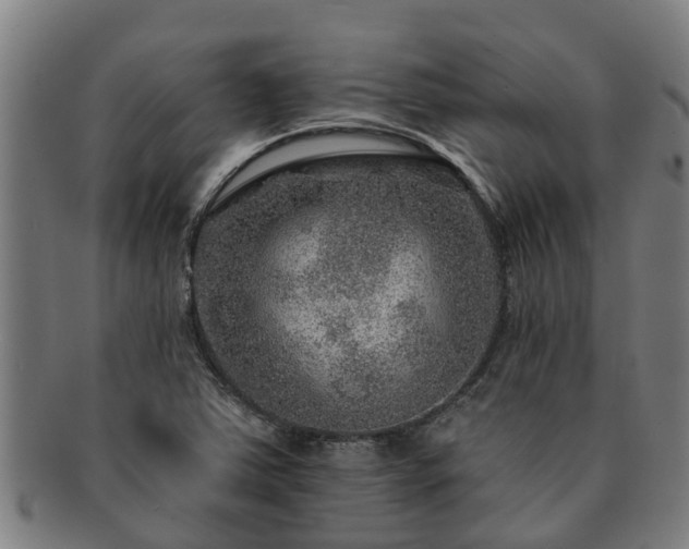 X0000091721363200708311129