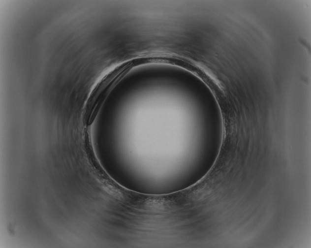 X0000091721364200708311129