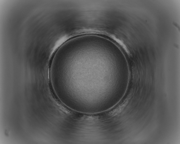 X0000091721365200708311129