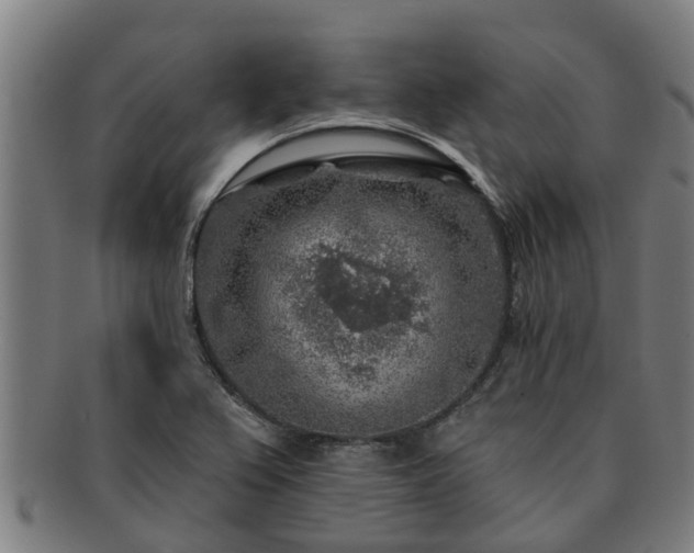 X0000091721367200708311129