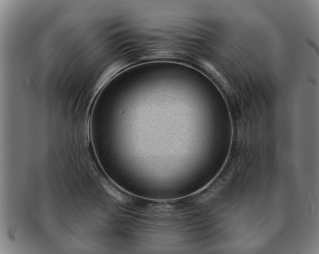 X0000091721370200708311129