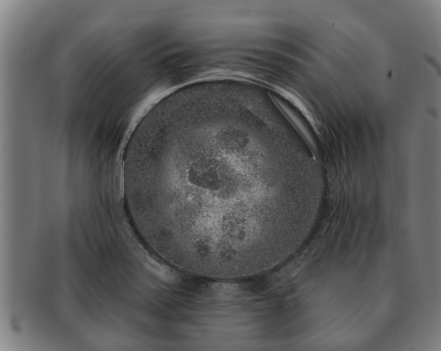 X0000091721371200708311129