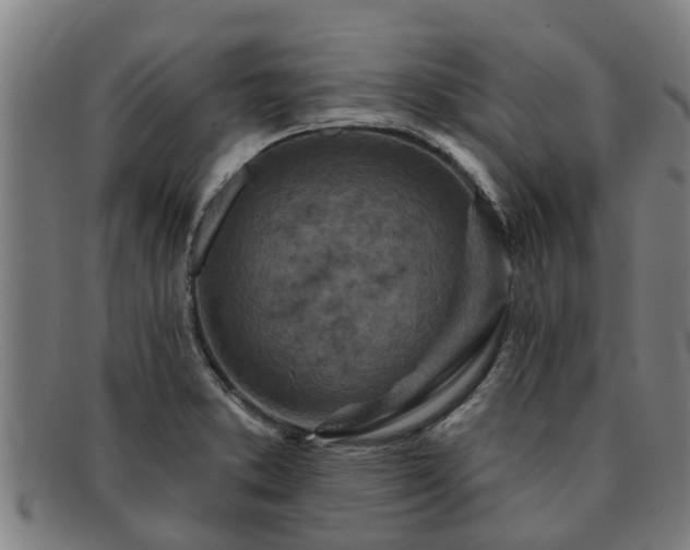 X0000091721373200708311129