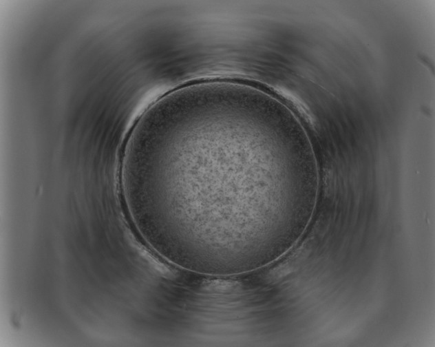 X0000091721374200708311129