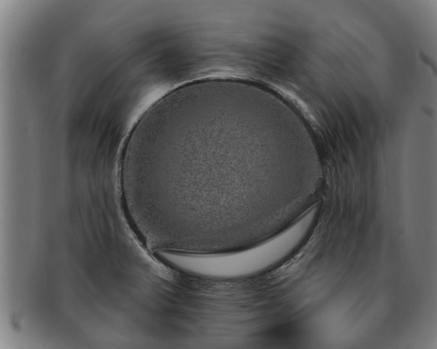 X0000091721375200708311129
