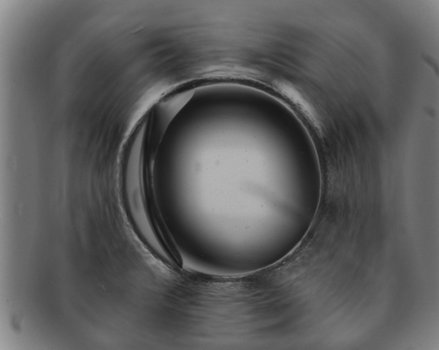 X0000091721376200708311129