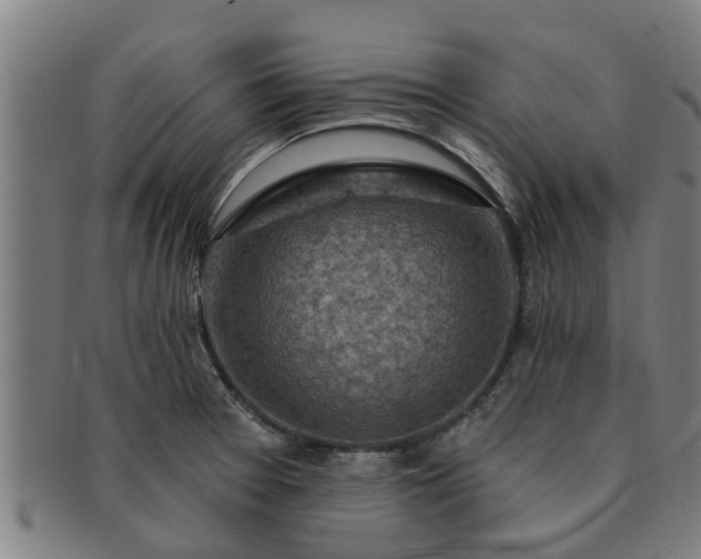 X0000091721377200708311129