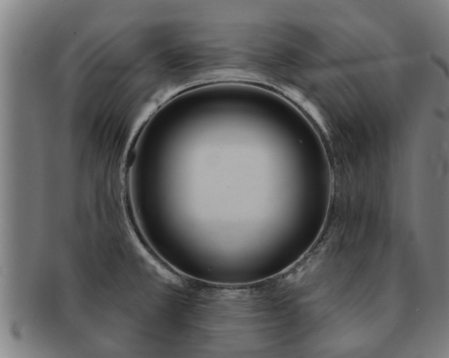 X0000091721381200708311128