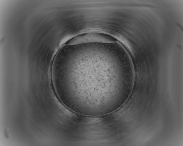 X0000091721382200708311128