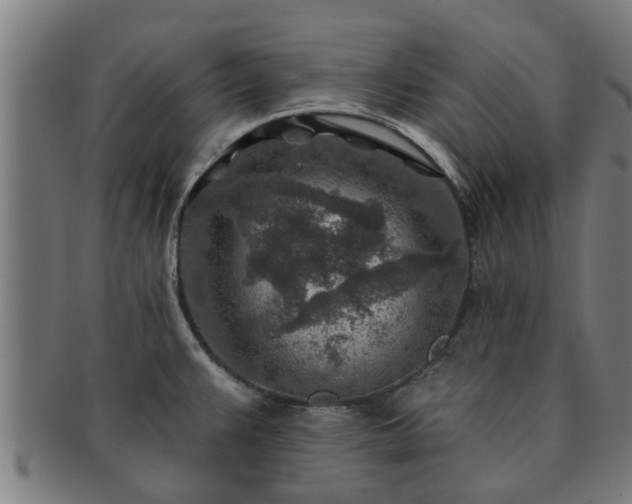 X0000091721383200708311128