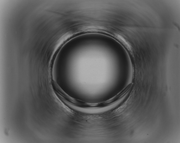X0000091721384200708311128
