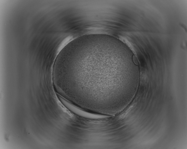 X0000091721386200708311128