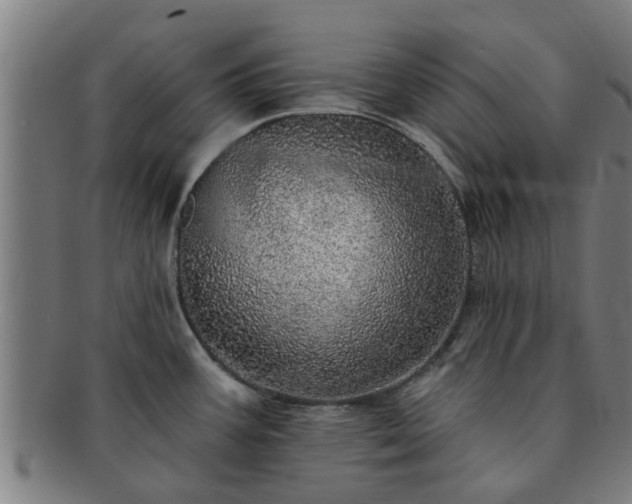 X0000091721387200708311128