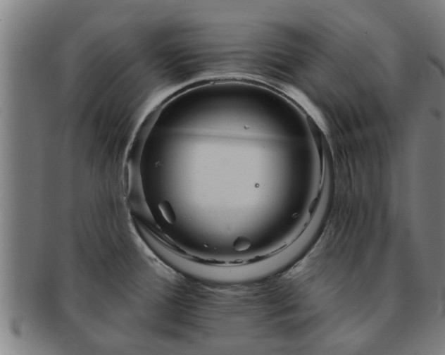 X0000091721388200708311128