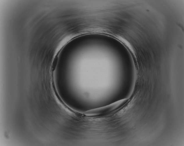 X0000091721389200708311128