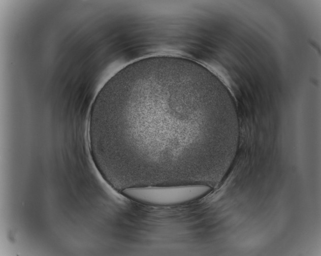 X0000091721391200708311128