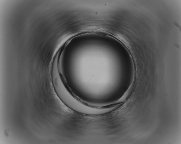 X0000091721392200708311128