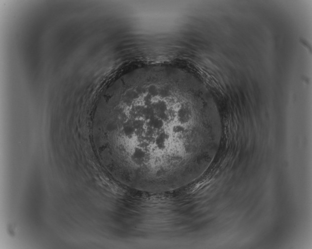 X0000091721393200708311128