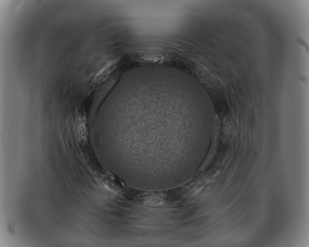 X0000091721394200708311128