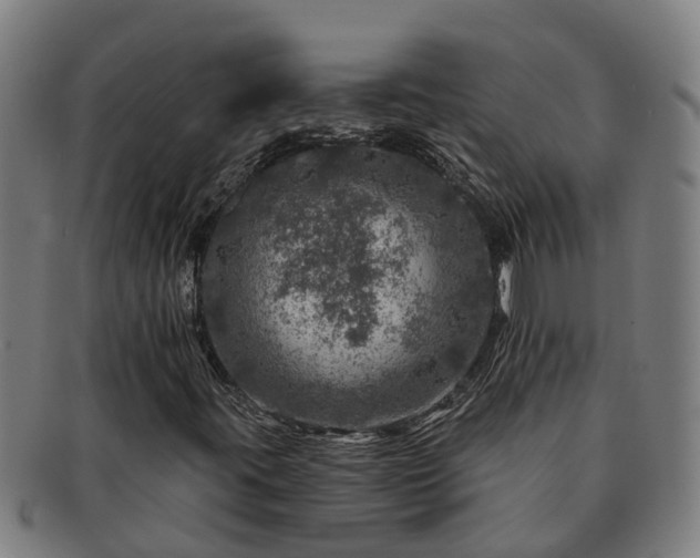 X0000091721395200708311128