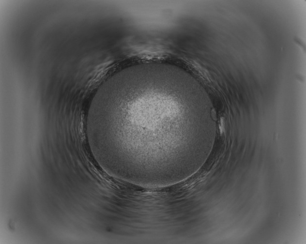 X0000091721396200708311128