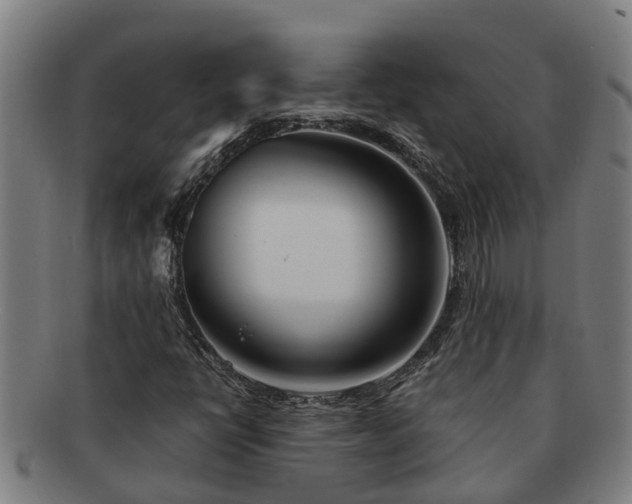 X0000091721398200708311128