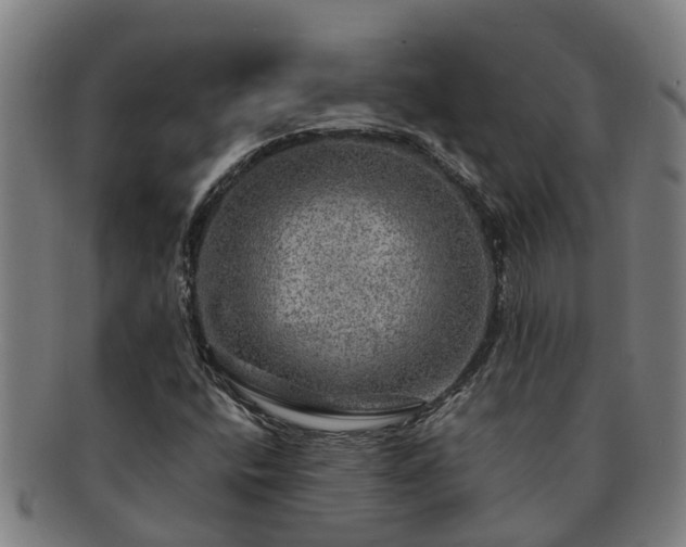X0000091721400200708311128
