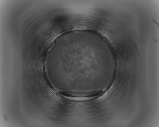 X0000091721401200708311128