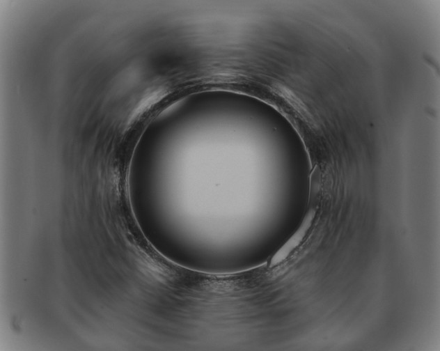 X0000091721402200708311128