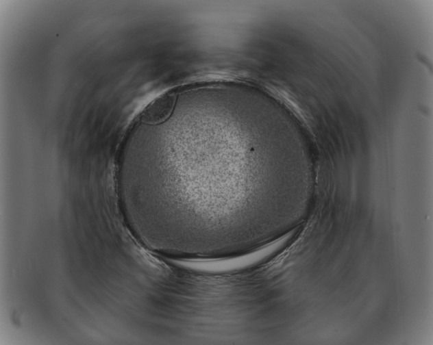 X0000091721404200708311128