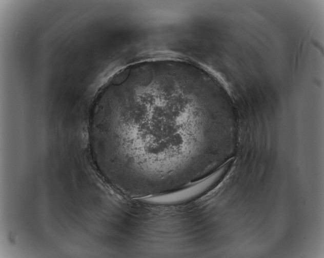 X0000091721407200708311128
