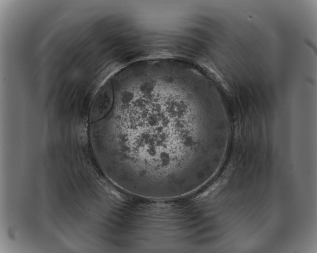 X0000091721409200708311128