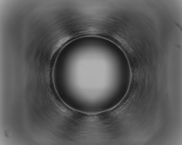 X0000091721410200708311128