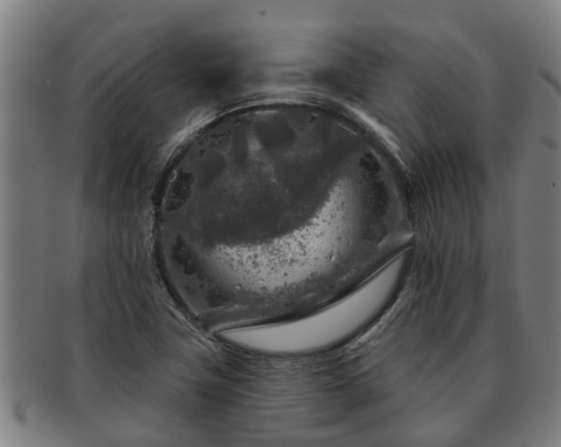 X0000091721411200708311128