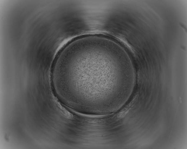 X0000091721412200708311128