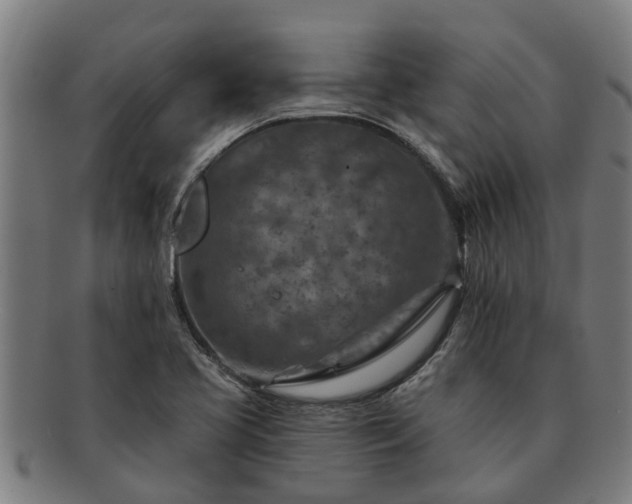 X0000091721413200708311128