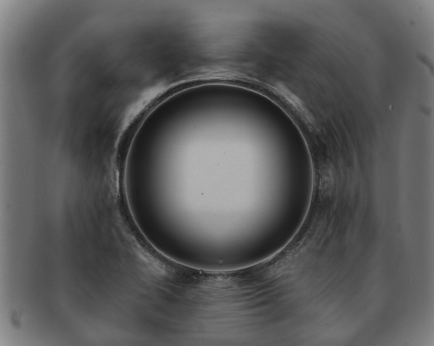 X0000091721414200708311128