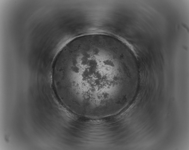 X0000091721415200708311128