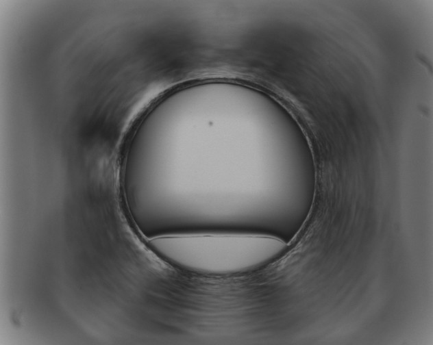 X0000091721416200708311128