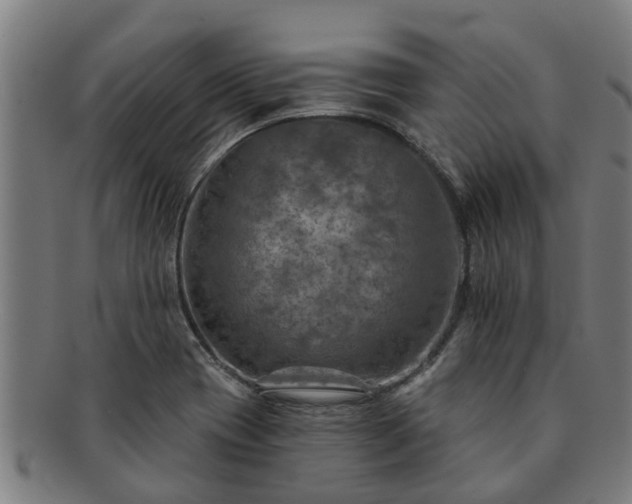 X0000091721417200708311128