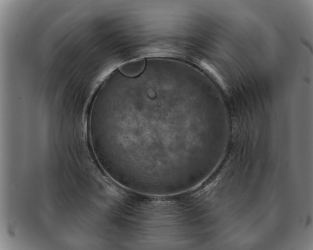 X0000091721419200708311128