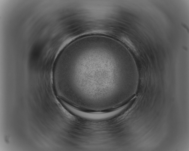 X0000091721420200708311128
